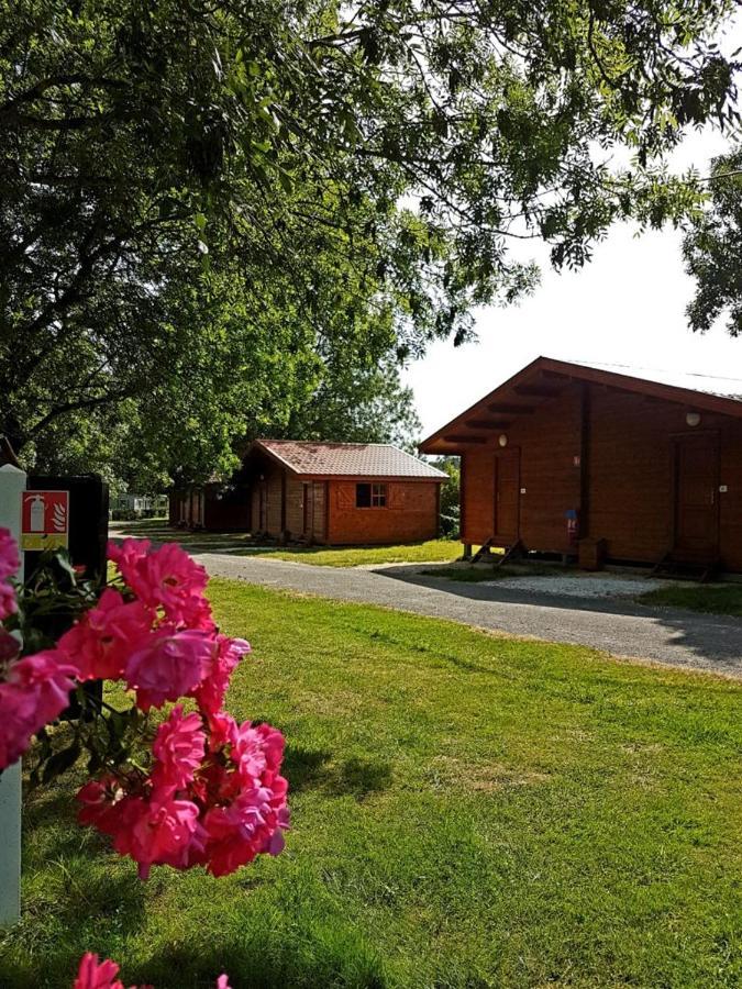 Camping Les 2 Salamandres Arces-sur-Gironde Eksteriør billede